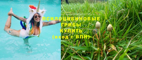 mdpv Богородск