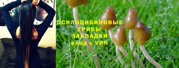 mdpv Богородск