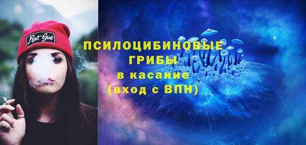 apvp Беломорск