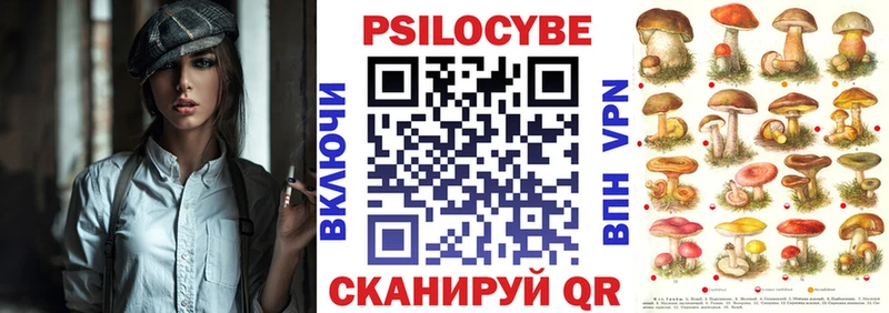 Галлюциногенные грибы Psilocybine cubensis  цена   Белоозёрский 